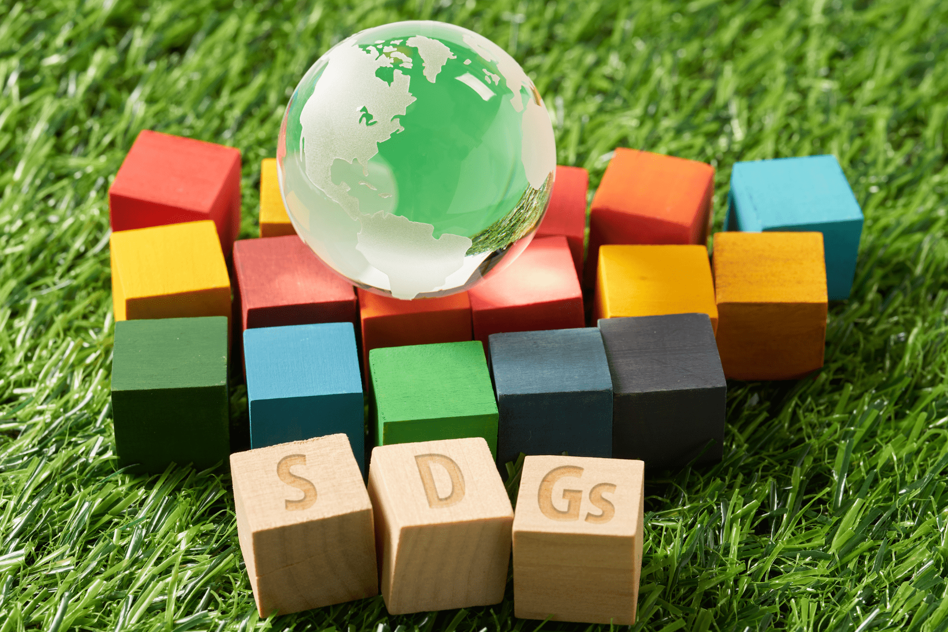 Sustainable Development Goals Sustainable Development Goals